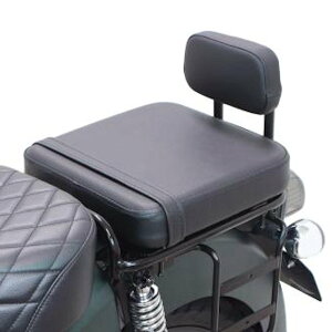 SP武川 タケガワ 09-11-0429 ピリオンシート&バックレストセット 縦約300mm×横約300mm×厚さ約65mm ホンダ スーパーカブ110 クロスカブ110