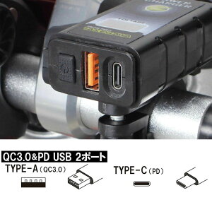 SP TAKEGAWA 05-13-0001 USB`[W[ 2|[g TYPE-A TYPE-C }[d2|[g