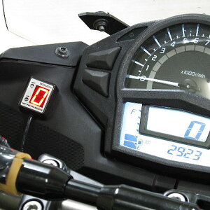 vebN SPI-K58 Vtg|WVCWP[^[ (No.11318) Ninja650 / ER-6f ['12`]yKAWASAKIz