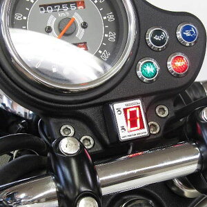 vebN SPI-I81 Vtg|WVCWP[^[ (No.11089) gCAt {lr ['09` SMTTJ9107]yTriumphz