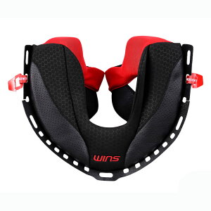 WINS A-FORCE RR / A-FORCE RS 12K `[Npbh ̌^