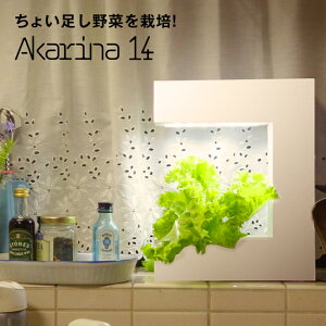 k͔|Lbg Akarina14 OMA14 M T_؂ t̔엿 |nX|W  q͔|Zbg c͔|Zbg LED A琬Cg k͔| ͔| n[u͔| v^[ ͔| Lb` 