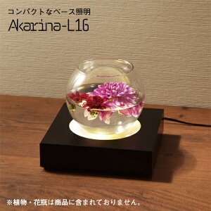 y|Cg10{11/1zLEDCg x[XƖ Akarina-L16BK MAI16-BK  LEDƖ ؏Ɩ RpNgƖ ֏Ɩ Aӏ Cgbv  t[AWg led