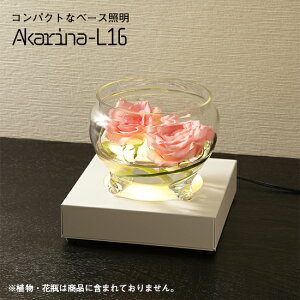 y|Cg10{11/1zLEDCg IuWFCg x[XƖ  Vv RpNg  L Aӏ Cgbv  t[AWg CeAO[