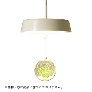 LED~Ճy_gCg & A|bg MPN01IV MOP01Zbg |V[OAC{[ eE led rO CeAO[ IsAƖ MotoM