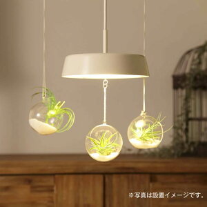 y_gCg & A|bg3Zbg [p@eEy߂ MPN02IV-MOP0011 VƖ ݉ CeAO[ CeBO[ _Ng[ _CjO k Vv