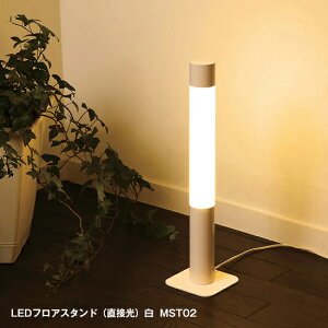 IsAƖ MotoM X^hCg tACg Ɩ Q LED ^hCg ڌ MST02 led  L rOp ԗp Vv _RpNg X^CbV  CeA