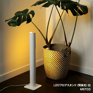 tAX^hCg ԐڏƖ  MST03WH LED MotoMX^hCg tACg X^hƖ Ɩ Q rOp VvRpNg X^CbV  C_XgA