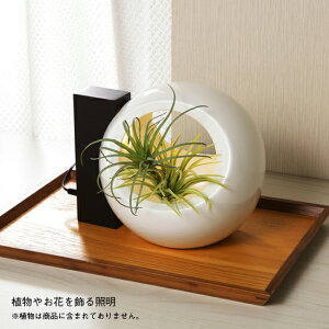 IsAƖ MotoM t[x[X ledCgt ؏Ɩ Akarina-L12 _[NuE MAI12DB MotoM Ԋ ԕr t[x[X ֏Ɩ LƖ CeAƖ Ɩ Mtg