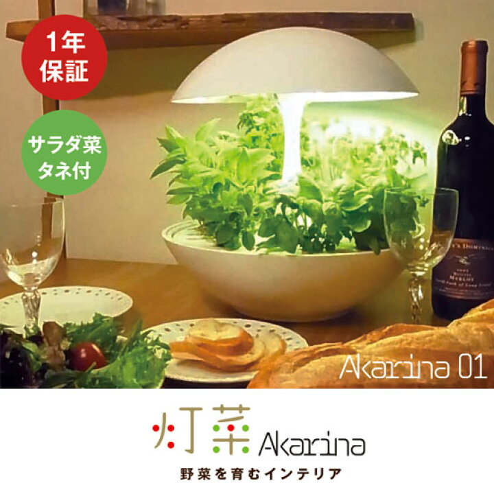 楽天市場】オリンピア照明 MotoM 水耕栽培キット 灯菜 アカリーナ 