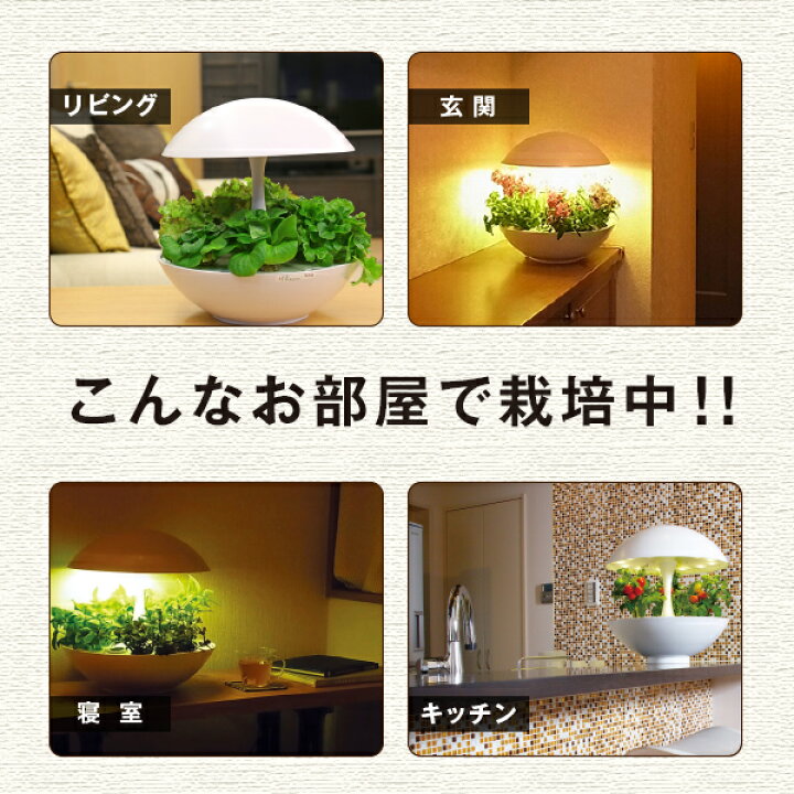 Led 水耕栽培 おしゃれ 家庭菜園 キット 水耕栽培キット アカリーナ Akarina01 Oma01 観葉植物 インテリア 水耕栽培専門店のエコゲリラ Priceless オンラインショップ3ｌｅｄ水耕栽培キット ａｋａｒｉｎａ０１ アカリーナ 灯菜 テララ オリンピア照明 お洒落 Claims