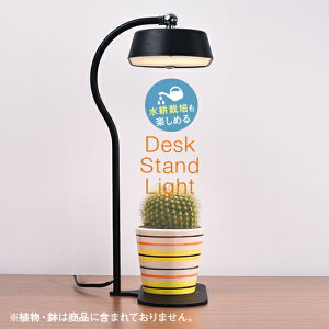 y|Cg5{10/9()01:59zA琬Cg X^h led  MST01-BK ledfXNv ドCg Ɩ ׋  rO A琬 Ǐ Vv  ubN T{e n[u͔|