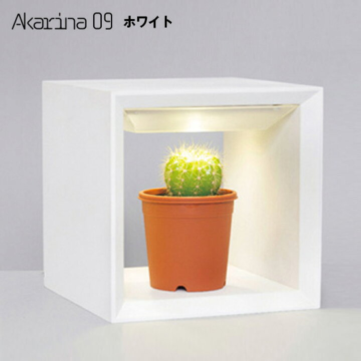 楽天市場 植物育成ライト Led Akarina09 灯菜 アカリーナ Motom 茶 白 Mai09led 木製 植物栽培ランプ 多肉植物 サボテン 苔玉 蘭 鉢植え 盆栽 室内栽培 水耕栽培 ライト インテリア照明 ライトボックス ハーブ栽培 おうち栽培 家庭菜園 灯り工房 Motom モトム