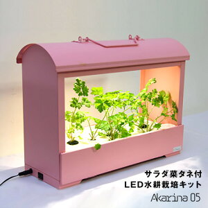 k͔|Lbg Akarina05sN LED T_؃^lEX|WEt̔엿t 
