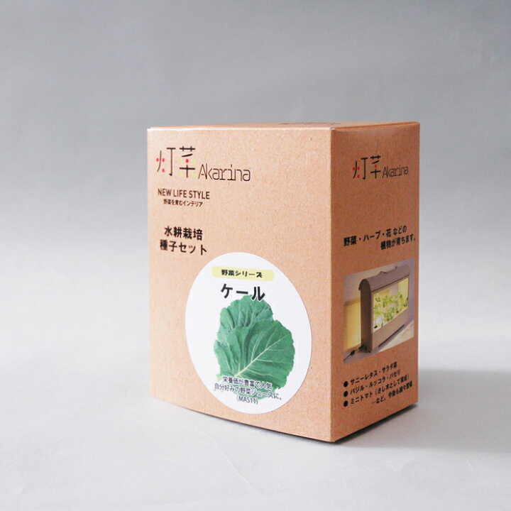 楽天市場 ケール水耕栽培用種子セット タネ スポンジ 液体肥料 Mas11 野菜の種 モトム 灯菜 灯り工房 Motom モトム