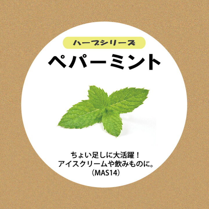 楽天市場 ペパーミント 水耕栽培用種子セット Mas14ペパーミントタネ約40粒 液体肥料50ml 水耕栽培用スポンジ30個 モトム 灯菜 灯り工房 Motom モトム