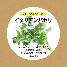 楽天市場 ハーブの種子 植物の種類イタリアンパセリ 種子 ガーデニング 農業 花 ガーデン Diyの通販