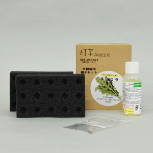 ���k�͔|�L�b�g �X�|���W �엿 ��2�t�� �A���琬 led ������� Akarina01 �T���_�؎�q �t�̔엿 �|�n�X�|���W �͔|�P�[�X OMA01 ���؎�q�͔| �n�[�u�͔| �A���琬���C�g �����͔| LED ���k�͔| 