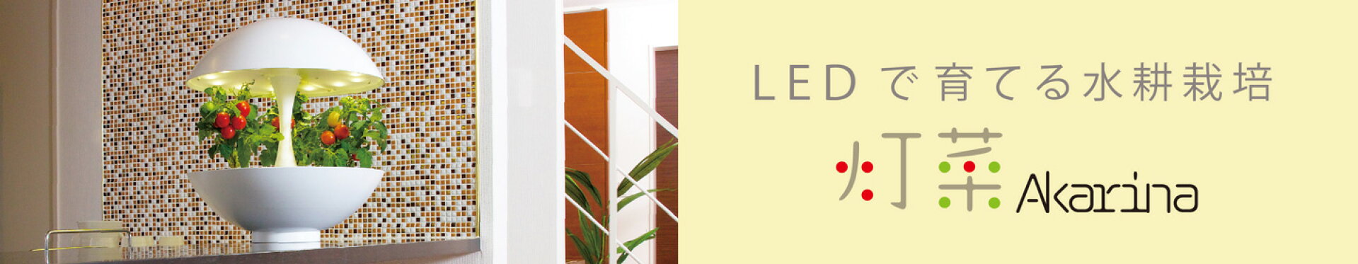 LEDで育てる水耕栽培灯菜Akarina アカリーナ