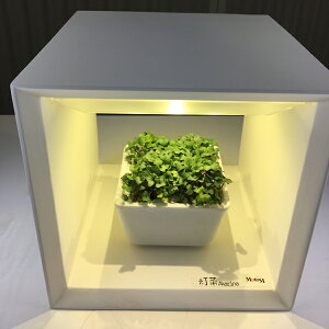 肥料 水耕栽培 スポンジの人気商品 通販 価格比較 価格 Com