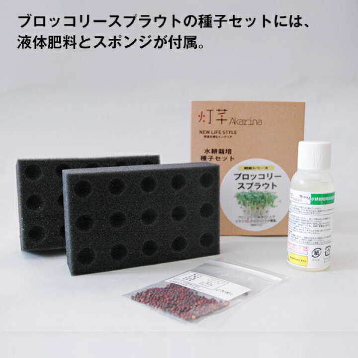 楽天市場 植物育成ライト ブロッコリースプラウト 種 栽培ケースセット Akarina09 液体肥料 スポンジ 白 Mai09植物栽培 多肉植物 サボテン 苔玉 蘭 鉢植え 観葉植物 盆栽 水耕栽培 室内栽培 ガーデニング 家庭菜園 灯り工房 Motom モトム
