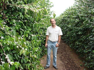 _NbN|Xg\^VuW@}JEo@f@V[}_@EHbVg@VeB[Xg@100gbbbrazilbBRAZILbygݍ킹RIR[q[800gȏゲő