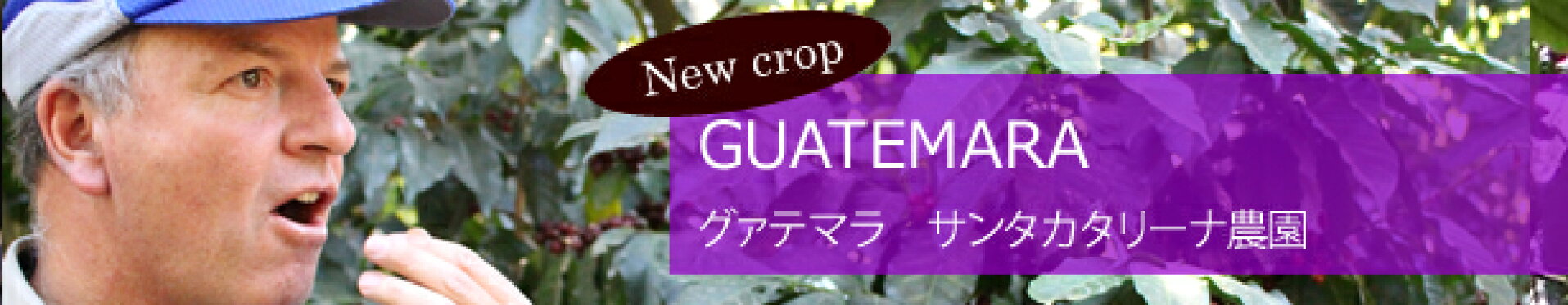 グァテマラ　サンタカタリーナ農園