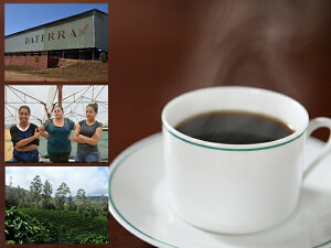 yNbN|XgzṼׂR[q[3ނZbgbXyVeBR[q[bR[q[bbR[q[b蓤bR[q[MtgbR[q[Zbgbv[gb