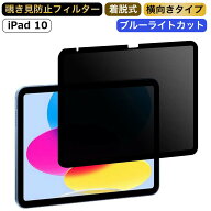 iPad 覗き見防止 フィルム 第11世代 2025 第10世代 2022 10.9 インチ（横向タイプ）プライバシーフィルタ…