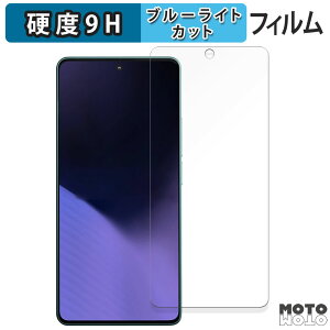 �y�|�C���g2�{�z �ی�t�B���� Xiaomi POCO X6 Neo 5G ������ �u���[���C�g�J�b�g �t�B���� 9H���d�x �A���`�O���A ���{��