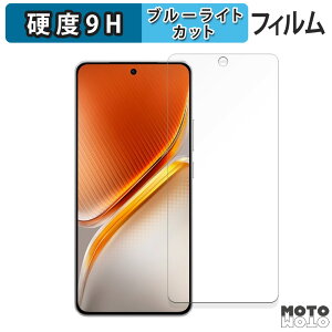 �ی�t�B���� vivo iQOO Neo10 / iQOO Neo10 Pro ������ �u���[���C�g�J�b�g �t�B���� 9H���d�x �A���`�O���A ���{��