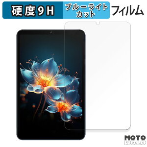 �y�|�C���g2�{�z �ی�t�B���� AvidPad A30 PRO ������ �u���[���C�g�J�b�g �t�B���� 9H���d�x ����d�l ���{��