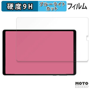 �y�|�C���g2�{�z �ی�t�B���� Legion Y700 2023 / Legion Y700 2025 ������ �u���[���C�g�J�b�g �t�B���� 9H���d�x ����d�l ���{��