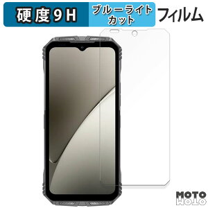 �y�|�C���g2�{�z �ی�t�B���� DOOGEE S Punk Pro ������ �u���[���C�g�J�b�g �t�B���� 9H���d�x ����d�l ���{��