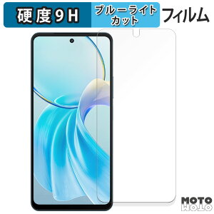 �y�|�C���g2�{�z �ی�t�B���� vivo Y100t 5G ������ �u���[���C�g�J�b�g �t�B���� 9H���d�x ����d�l ���{��