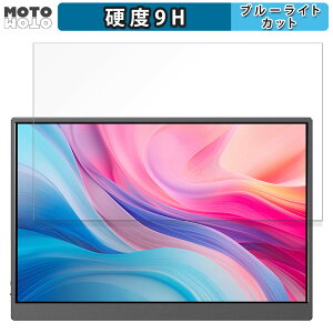 �ی�t�B���� JAPANNEXT JN-MD-IPS105FHDPR ������ �u���[���C�g�J�b�g �t�B���� 9H���d�x ����d�l ���{��