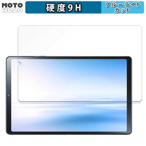 یtB NEC LAVIE Tab T9 T0995/HAS, TAB09/Q01 (8.8^ChE2024Ntf)  u[CgJbg tB 9Hdx dl {