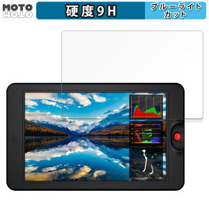 یtB OSEE G7 / OSEE T7  u[CgJbg tB 9Hdx dl {
