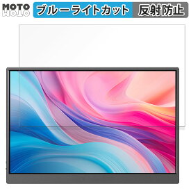 保護フィルム JAPANNEXT JN-MD-IPS105FHDPR 向けの ブルーライトカット フィルム アンチグレア 日本製