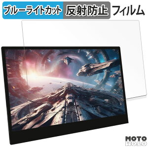 �ی�t�B���� WINTEN WT-133RTO4-BK ������ �u���[���C�g�J�b�g �t�B���� �A���`�O���A ���{��