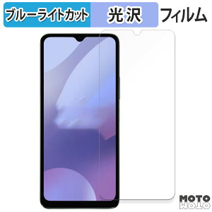 �y�|�C���g2�{�z �ی�t�B���� Xiaomi POCO C61 ������ �u���[���C�g�J�b�g �t�B���� ����d�l ���{��