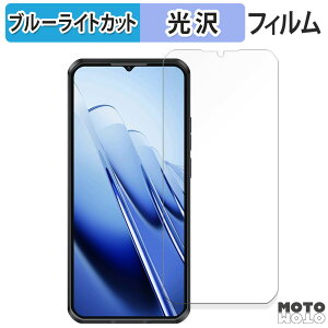 �y�|�C���g2�{�z �ی�t�B���� OUKITEL WP52 ������ �u���[���C�g�J�b�g �t�B���� ����d�l ���{��