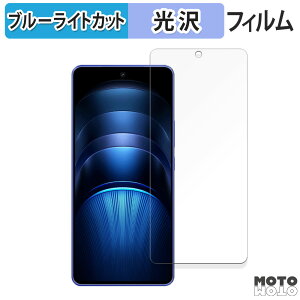 �y�|�C���g2�{�z �ی�t�B���� vivo iQOO Neo9S Pro+ ������ �u���[���C�g�J�b�g �t�B���� ����d�l ���{��