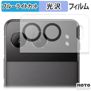 �y�|�C���g2�{�z �ی�t�B���� OnePlus Nord 4 ( �J���������Y�� / �����Y���ӕ� ) ������ �u���[���C�g�J�b�g �t�B���� ����d�l ���{��