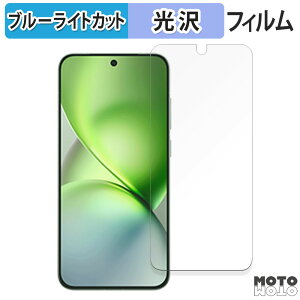 �y�|�C���g2�{�z �ی�t�B���� vivo X200 Pro mini ������ �u���[���C�g�J�b�g �t�B���� ����d�l ���{��