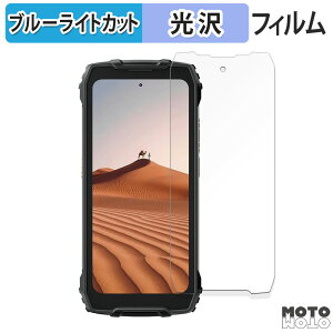 �y�|�C���g2�{�z �ی�t�B���� Blackview BV7300 ������ �u���[���C�g�J�b�g �t�B���� ����d�l ���{��