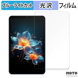 �y�|�C���g2�{�z �ی�t�B���� AvidPad A30 PRO ������ �u���[���C�g�J�b�g �t�B���� ����d�l ���{��