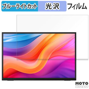 �y�|�C���g2�{�z �ی�t�B���� JAPANNEXT JN-MD-IPS13U2KP ������ �u���[���C�g�J�b�g �t�B���� ����d�l ���{��