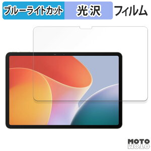 �y8/11 1:59�� �|�C���g2�{�z �ی�t�B���� Infinix XPAD ������ �u���[���C�g�J�b�g �t�B���� ����d�l ���{��