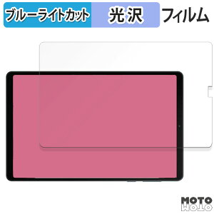 �y�|�C���g2�{�z �ی�t�B���� Legion Y700 2023 / Legion Y700 2025 ������ �u���[���C�g�J�b�g �t�B���� ����d�l ���{��